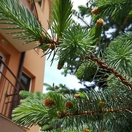 Hotel Dalia Nessebar