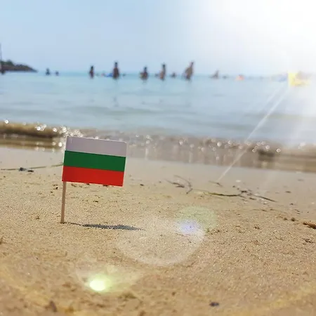 Dalia 酒店 内塞伯尔