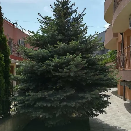 酒店 Dalia 内塞伯尔