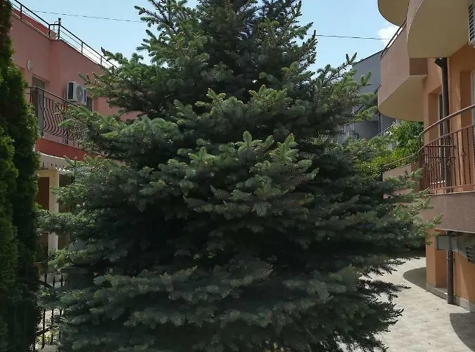 Hotel Dalia Nessebar